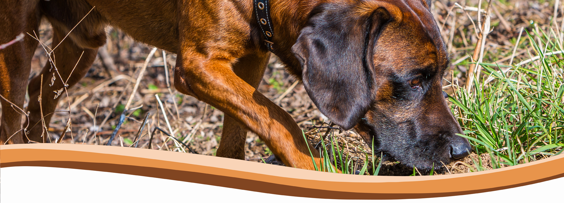 tracking training, abingdon, wantage, didcot, harwell, steventon, oxford, wallingford